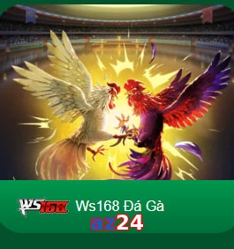 az24